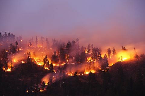 Un fuoco più forrest che brucia il lato di una montagna nel Montana.