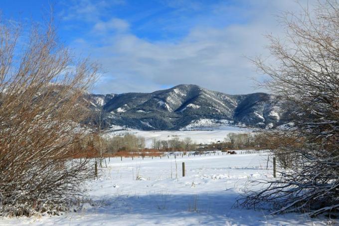 vista invernale delle montagne Bridger viste da Bozeman Montana foto di don e melinda crawforduguniversal images group tramite getty images