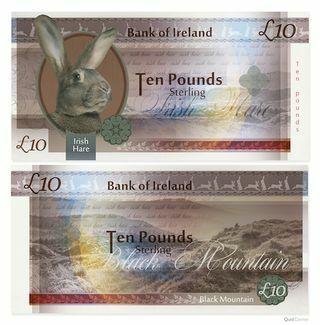 Foto della banconota della lepre irlandese