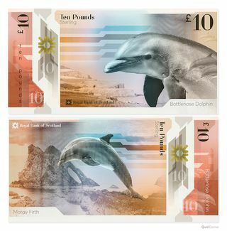 Foto di banconote Dolphin