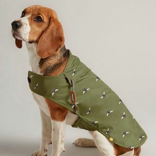 Cappotto per cani cerato verde oliva