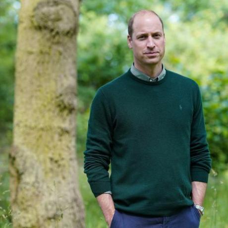 il principe william, il duca di cambridge, ritratto