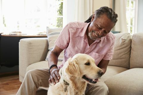 uomo anziano seduto sul divano a casa con il cane labrador da compagnia