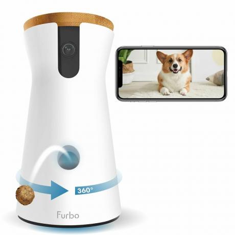 Telecamera per cani a 360°