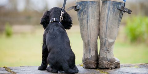 8 motivi per cui la passeggiata di Santo Stefano è la migliore passeggiata dell'anno