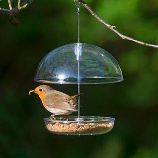 Adoro l'alimentatore di Robins