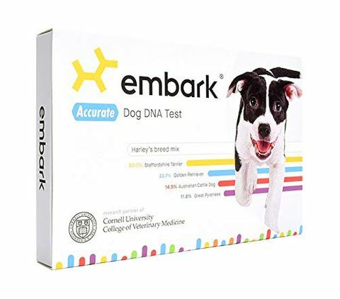 C'è un accordo lampo sul kit DNA di Embark Dog per Amazon Prime Day
