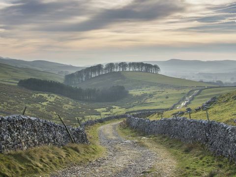 Lo Yorkshire potrebbe essere il posto migliore per la vita rurale?