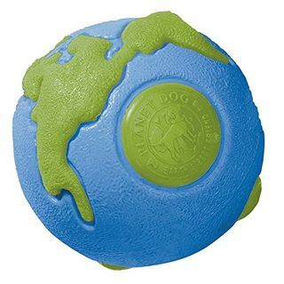 Planet Dog Orbee-Tuff Planet Ball blu