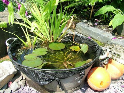 Crea il tuo laghetto da giardino