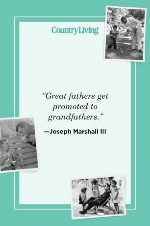 “i grandi padri vengono promossi a nonni” —joseph marshall iii