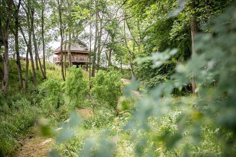 affitta questa casa sull'albero nel Worcestershire