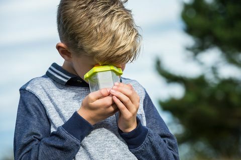 natura dei bambini delle scuole