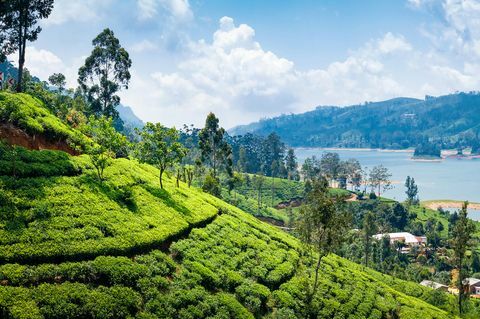 Sri Lanka