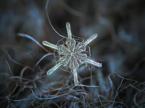 fiocco di neve