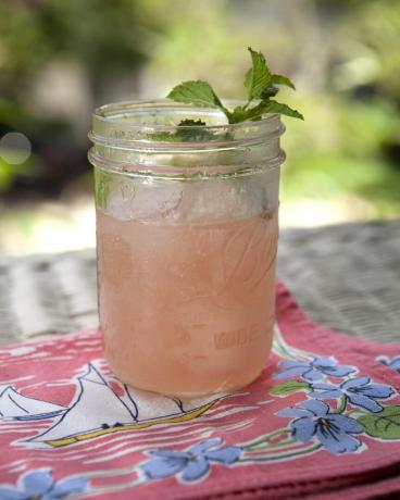 barattolo di vetro anguria frosé con rametto di menta fresca