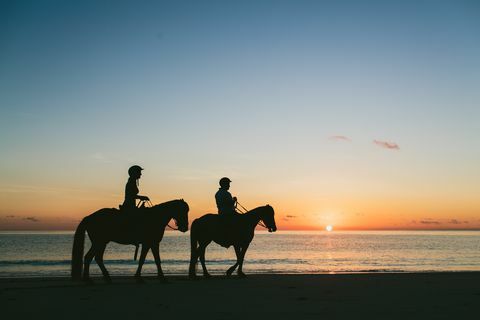 Passeggiata a cavallo al tramonto sull'isola delle tartarughe alle Figi