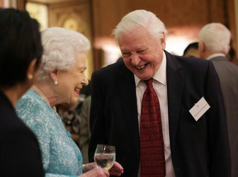 David Attenborough esorta i leader mondiali a prendersi cura del pianeta in un'intervista al Principe William