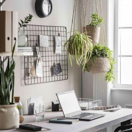 i migliori colori per le pareti dell'home office