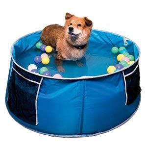 Piscina per bambini Cool Club Dog blu