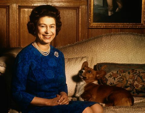 Il cane di Meghan Markle cavalca con la regina Elisabetta a Windsor