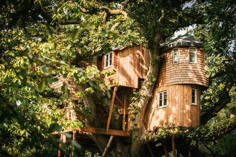 Treetops Treehouse - Devon - casa - Canopy & Stars