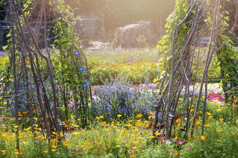 collezione di giardinaggio per la vita di campagna a casa