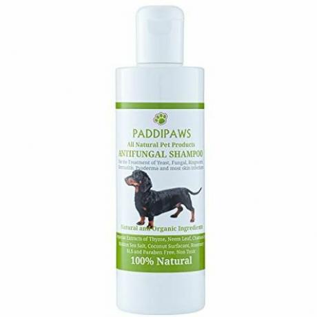 Shampoo per cani antifungino e antibatterico naturale al 100% - Infezioni da lieviti, tigna, dermatite, piodermite - Sicuro - Naturale - Senza parabeni e SLS - 250 ml - Flacone più grande disponibile presso il negozio.