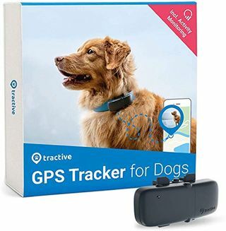 Localizzatore GPS Tractive per cani