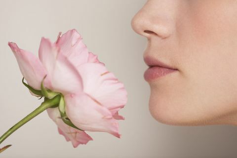 Fine sentente l'odore del fiore rosa della donna su