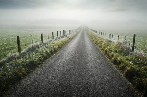 campagna sulla strada della nebbia