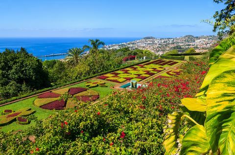 Giardini tropicali di Monte nella città di Funchal, isola della Madera, Portogallo