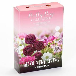 Bella collezione Posy bulbi di fiori