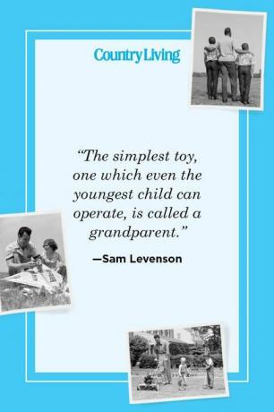 “il giocattolo più semplice, quello che anche il bambino più piccolo può usare, si chiama nonno” —sam levenson